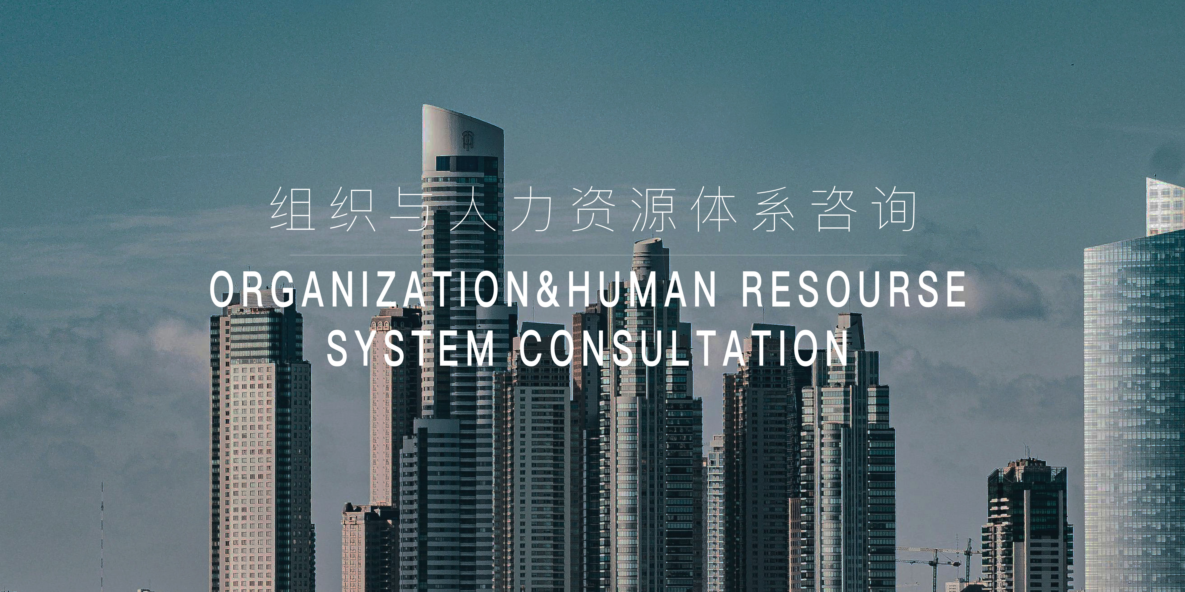 2024組織與人力資源體系咨詢(xún)